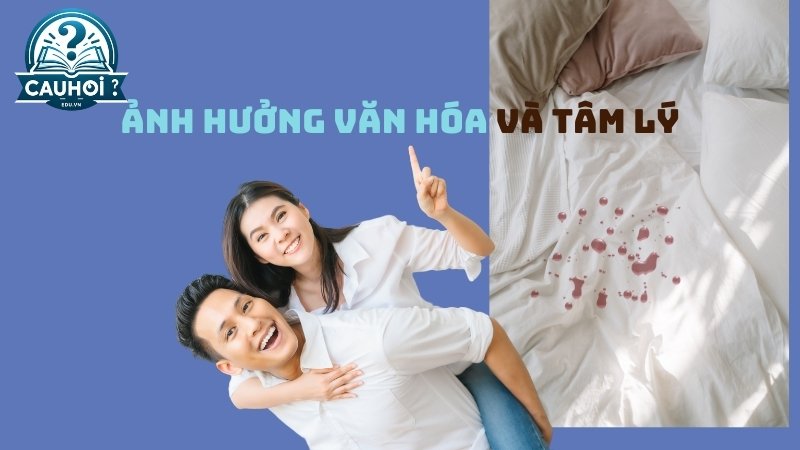 Ảnh hưởng văn hóa và tâm lý