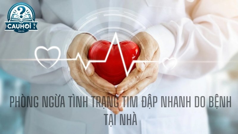 Phòng ngừa tình trạng tim đập nhanh do bệnh tại nhà