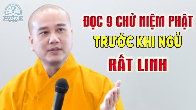 Nguyên nhân Thầy Pháp Hòa không về Việt Nam