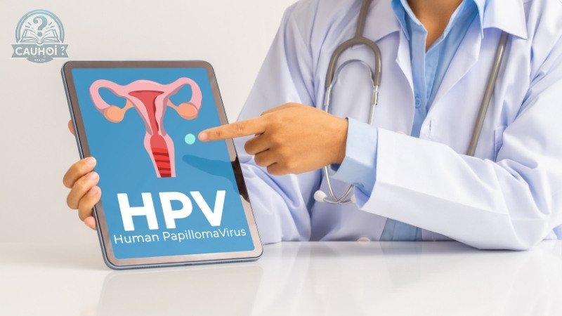 Tiêm phòng HPV là gì? Tầm quan trọng của tiêm phòng HPV