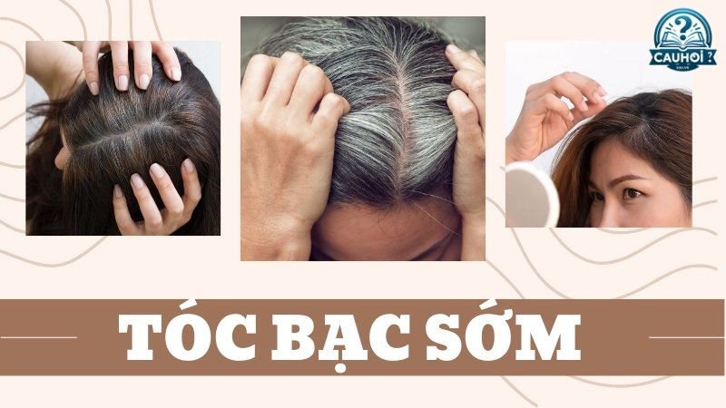 Tóc bắt đầu bạc khi nào?