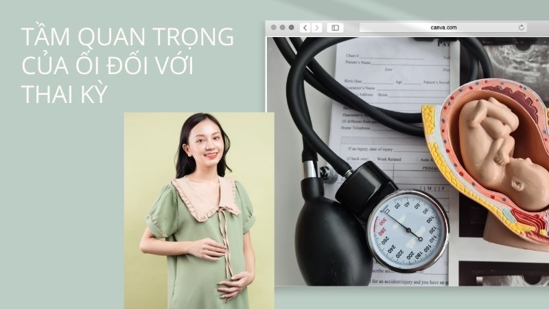 Định nghĩa về ối và tầm quan trọng của ối đối với thai kỳ