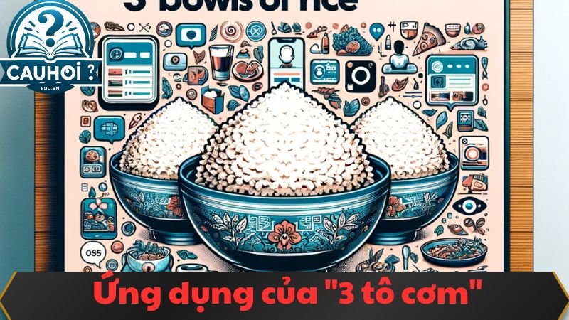 Ứng dụng của 3 tô cơm