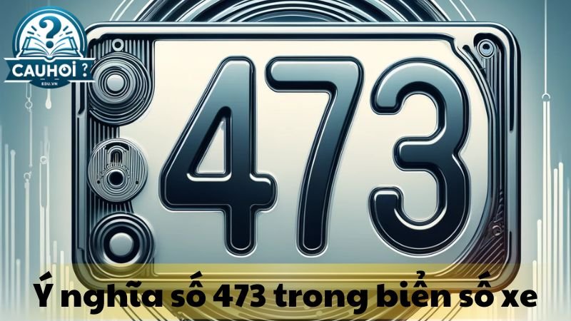 473-la-gi-3