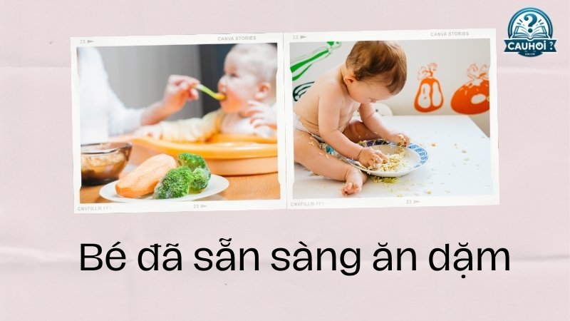 Dấu hiệu nhận biết bé sẵn sàng ăn dặm