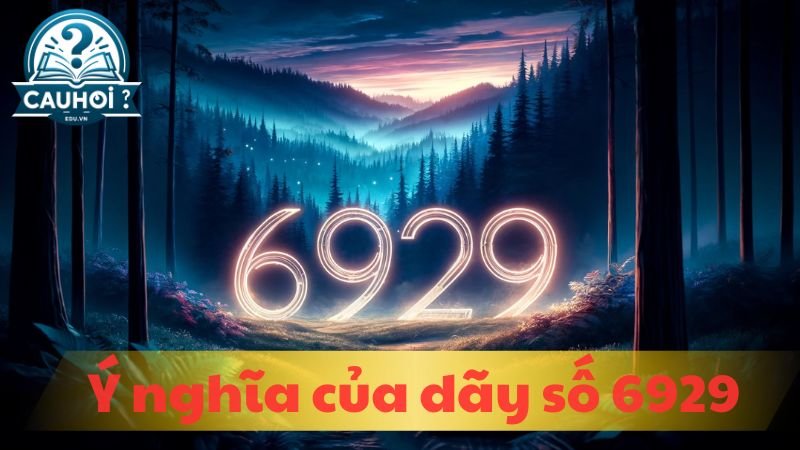 6929-nghia-la-gi-1