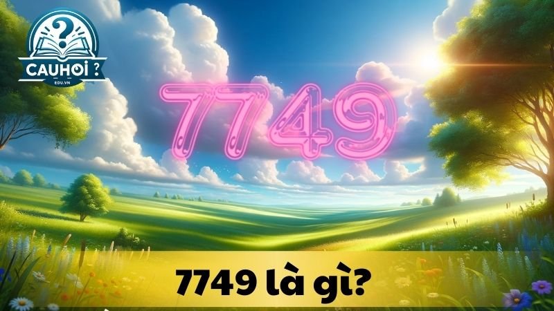 7749-la-gi-1