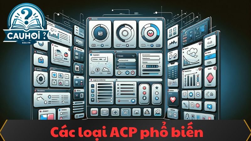 ACP-la-gi-1