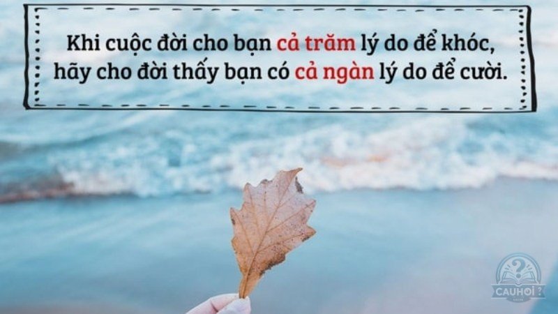 Bài học về sự lừa dối trong tình yêu