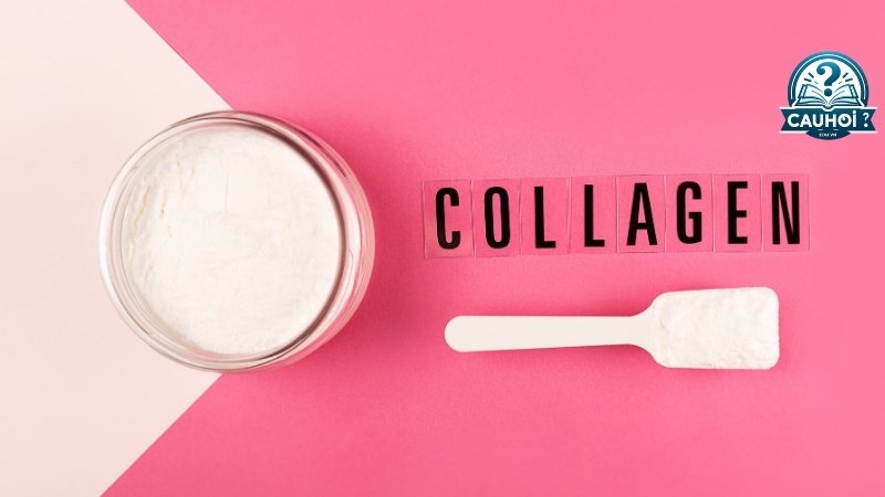 Collagen là gì?