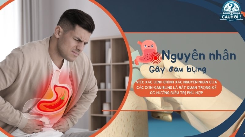 Nguyên nhân phổ biến gây đau bụng