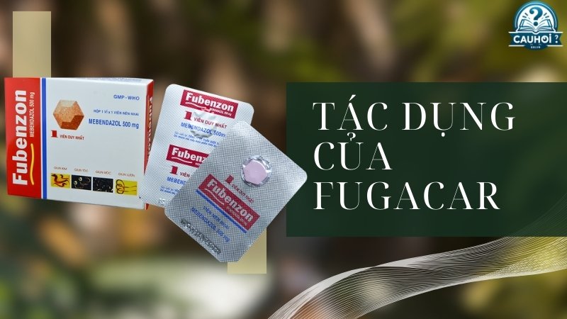 Thành phần và cơ chế tác dụng của Fugacar