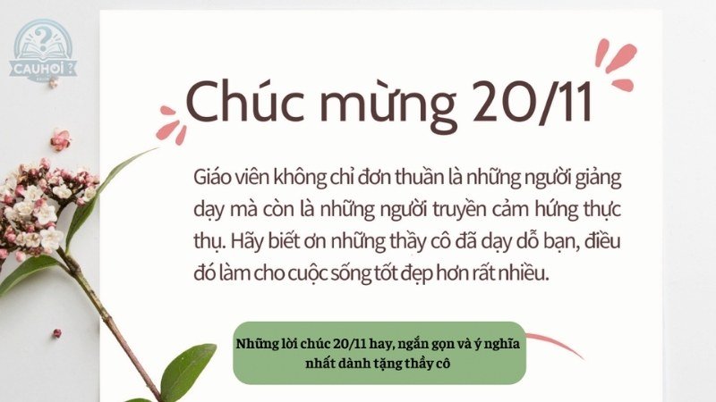 Lời chúc mừng 20/11 ấn tượng 1