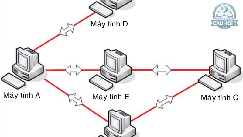 Mạng máy tính là gì 02