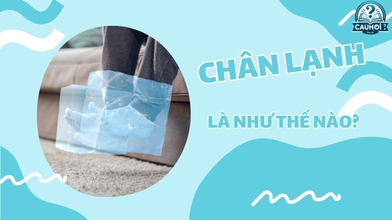 Định nghĩa người chân lạnh  