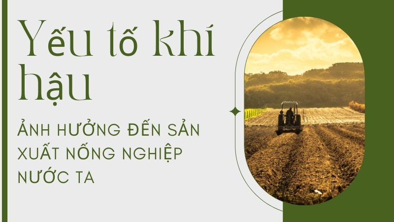 Yếu tố khí hậu và ảnh hưởng của nó đến sản xuất nông nghiệp