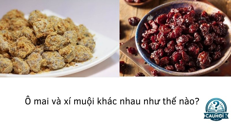 Ô mai và xí muội khác nhau như thế nào?