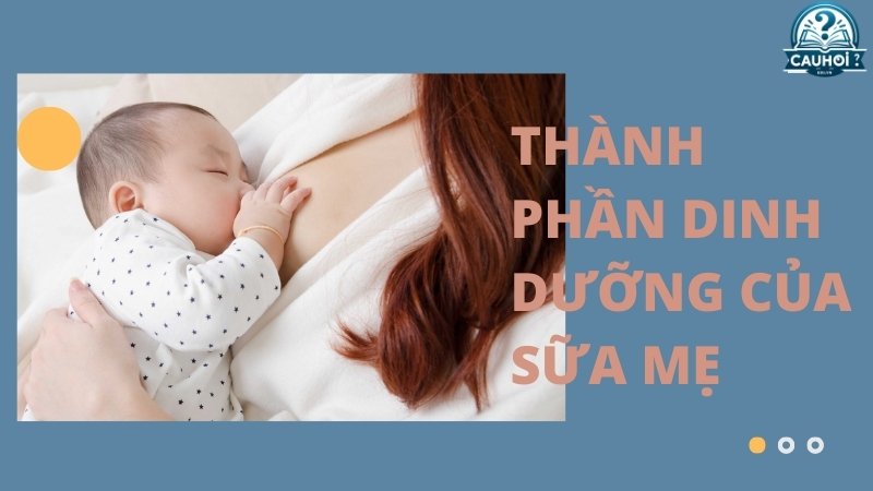 Thành phần dinh dưỡng của sữa mẹ