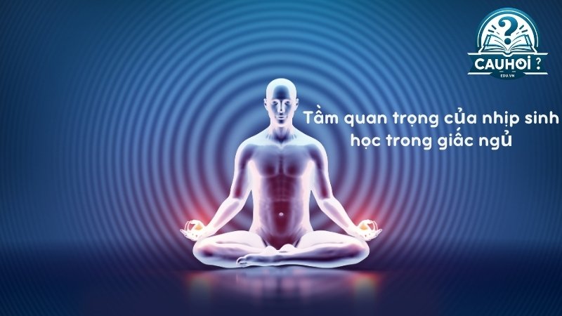 Tầm quan trọng của nhịp sinh học trong giấc ngủ 