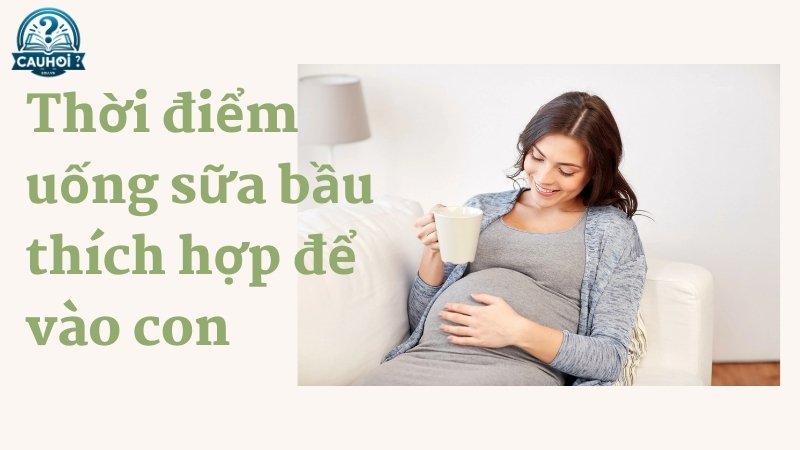 Thời điểm nào nên uống sữa bầu để vào con?