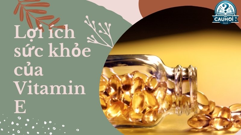 Lợi ích sức khỏe của Vitamin E