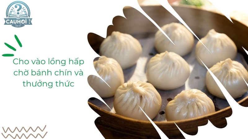 Hấp bánh bao