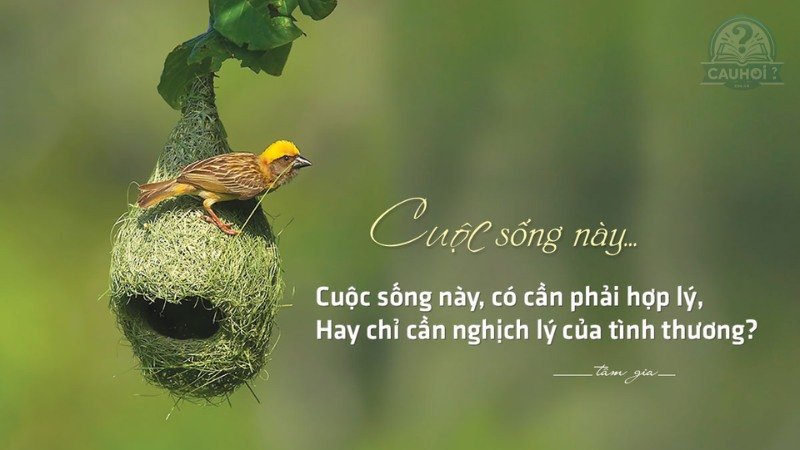 câu nói hài hước về cuộc sống 2