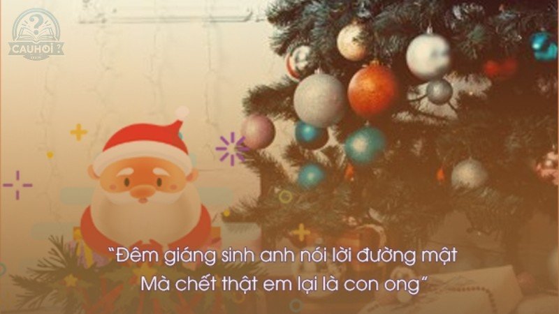 câu châm ngôn hay về noel hài hước 3