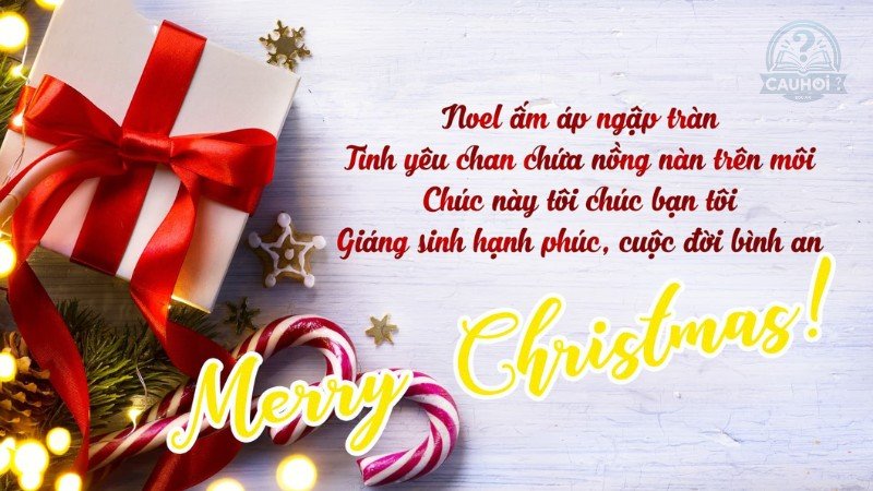 câu châm ngôn hay về noel hài hước 4