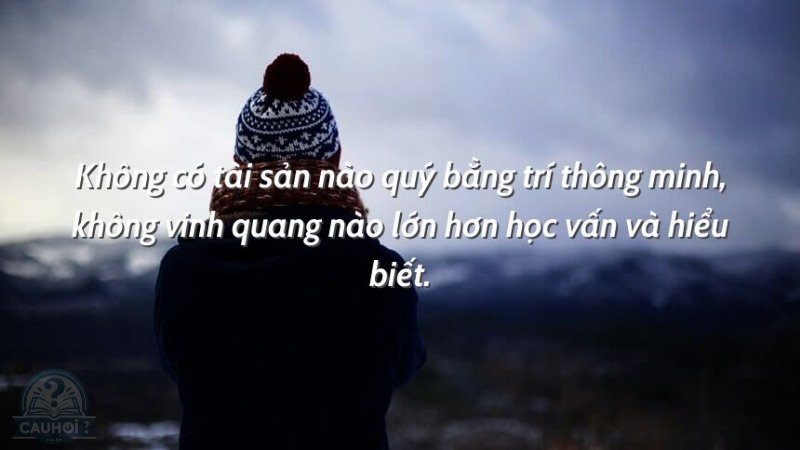 Ý nghĩa của những câu danh ngôn trí tuệ trong cuộc sống 