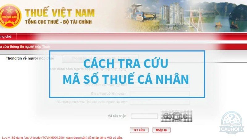 Hướng dẫn tra mã số thuế cá nhân online