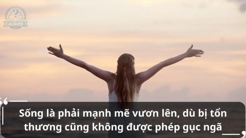 những câu trích dẫn hay về cuộc sống 4