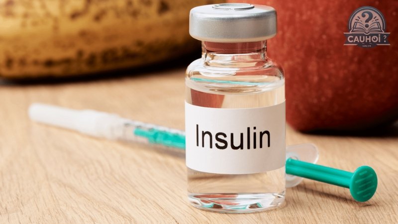 Insulin là gì 02