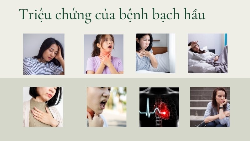 Triệu chứng và tử vong của bệnh bạch hầu