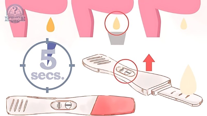 Hướng dẫn dùng que thử thai đúng cách