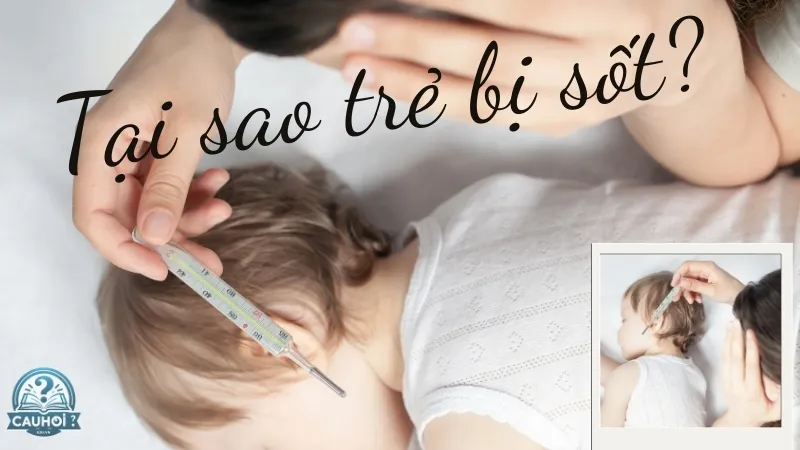 Tại sao trẻ bị sốt?