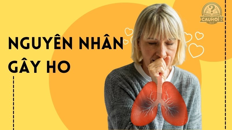 Cách trị ho không cần thuốc tại nhà - Đơn giản và hiệu quả
