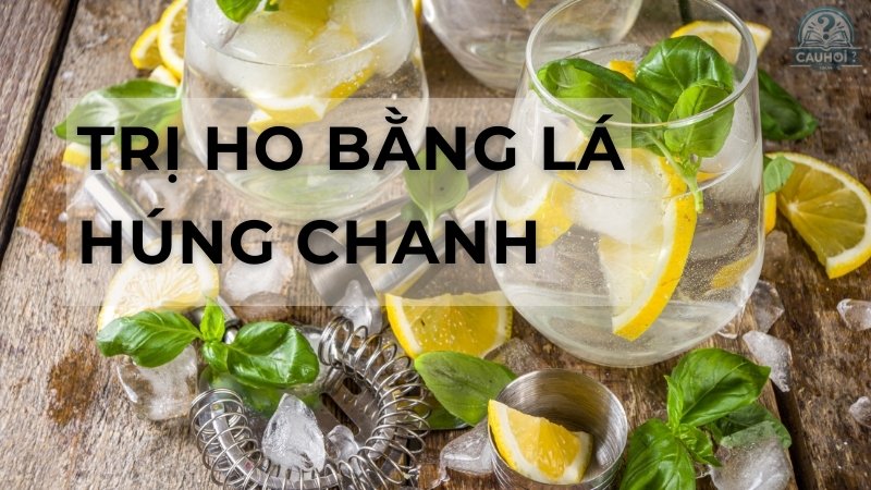 Trị ho bằng lá húng chanh