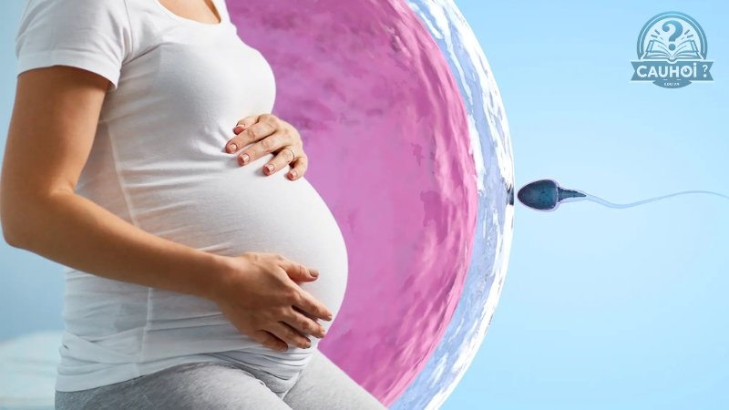 Ivf là gì 03