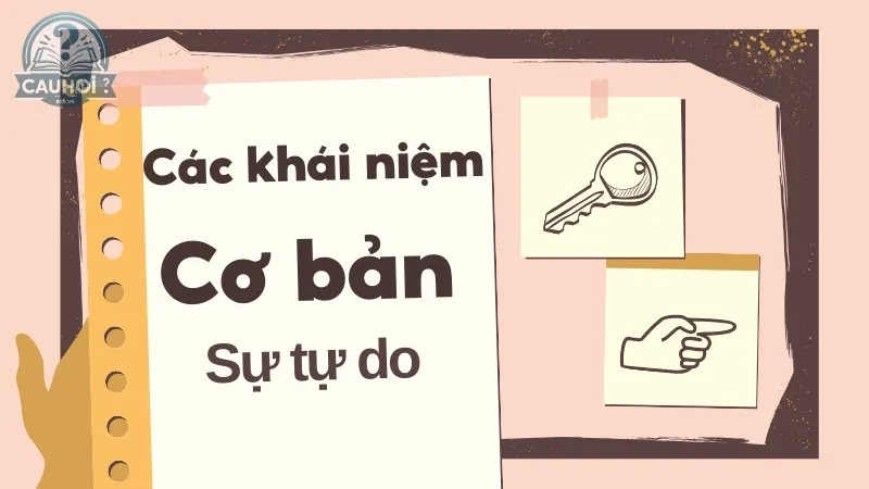 Các khái niệm cơ bản về sự tự do