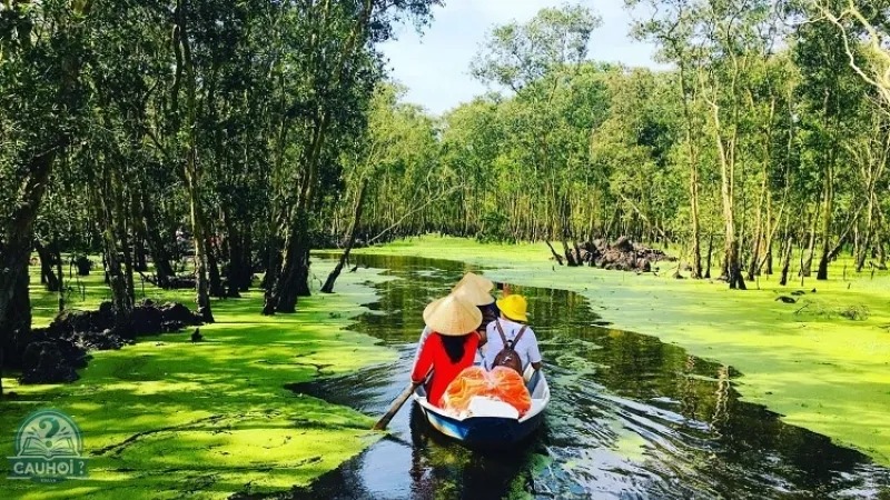 Du lịch tại U Minh Thượng có gì?