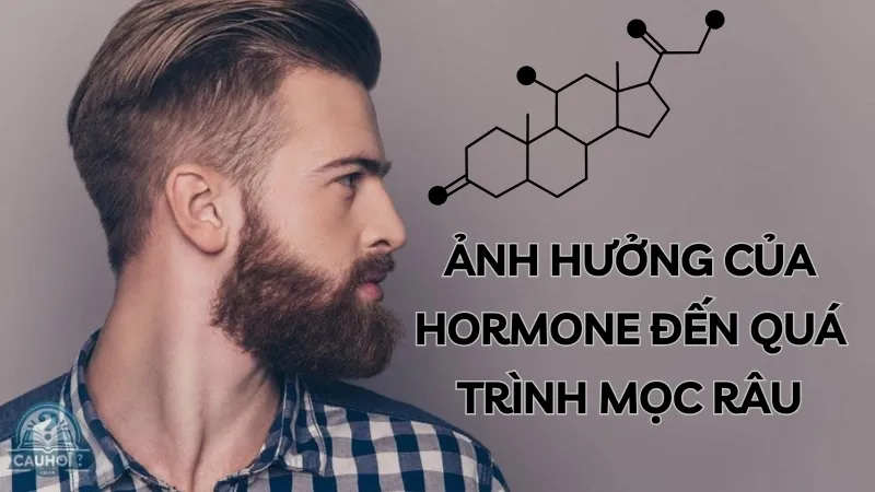 Ảnh hưởng của Hormone đến quá trình mọc râu