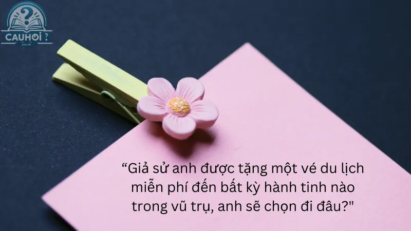 Bắt đầu bằng một câu hỏi thú vị