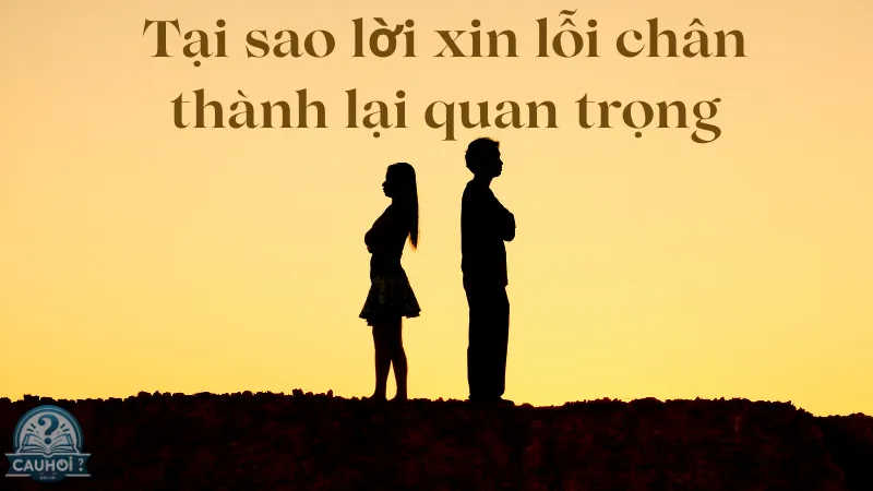 Tại sao lời xin lỗi chân thành lại quan trọng