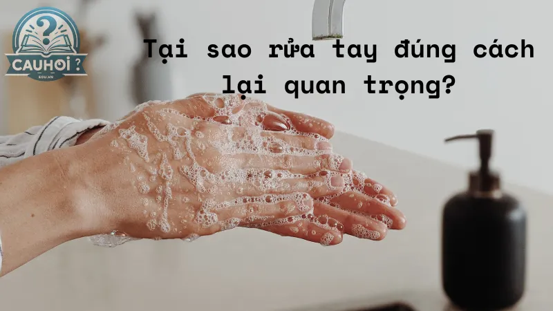 Tại sao rửa tay đúng cách lại quan trọng?