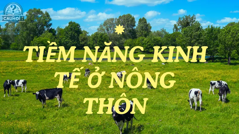 Tiềm năng kinh tế ở nông thôn