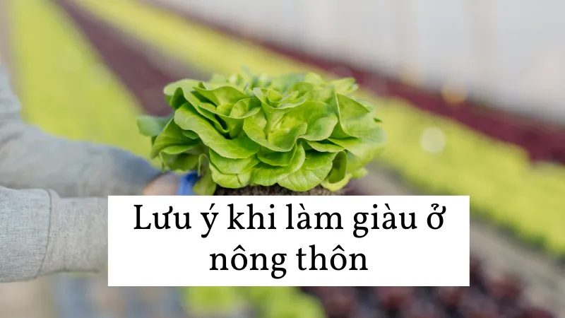 Lưu ý khi làm giàu ở nông thôn