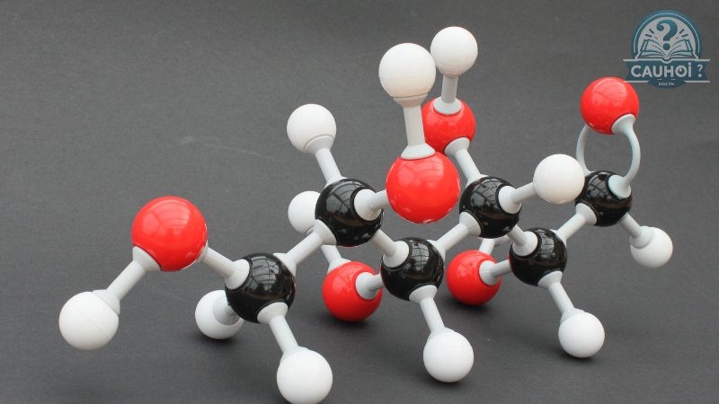 Glucose là gì 03