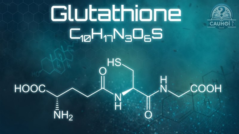 Glutathione là gì 02