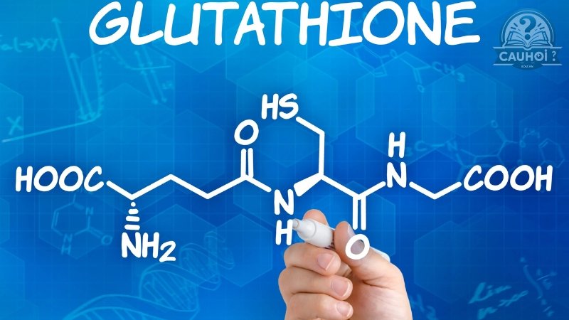 Glutathione là gì 05